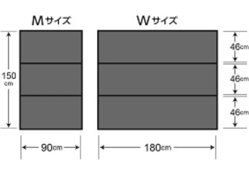 消毒剤含浸用マットⅡサイズの画像
