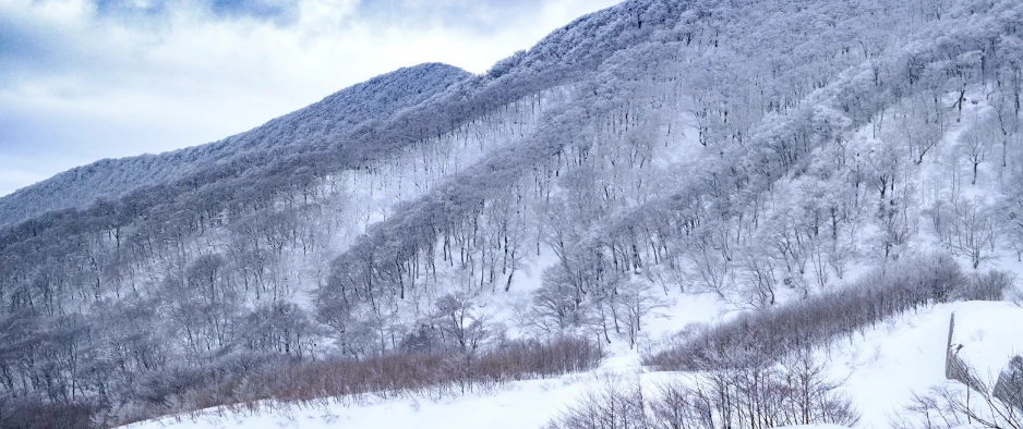雪やまの画像